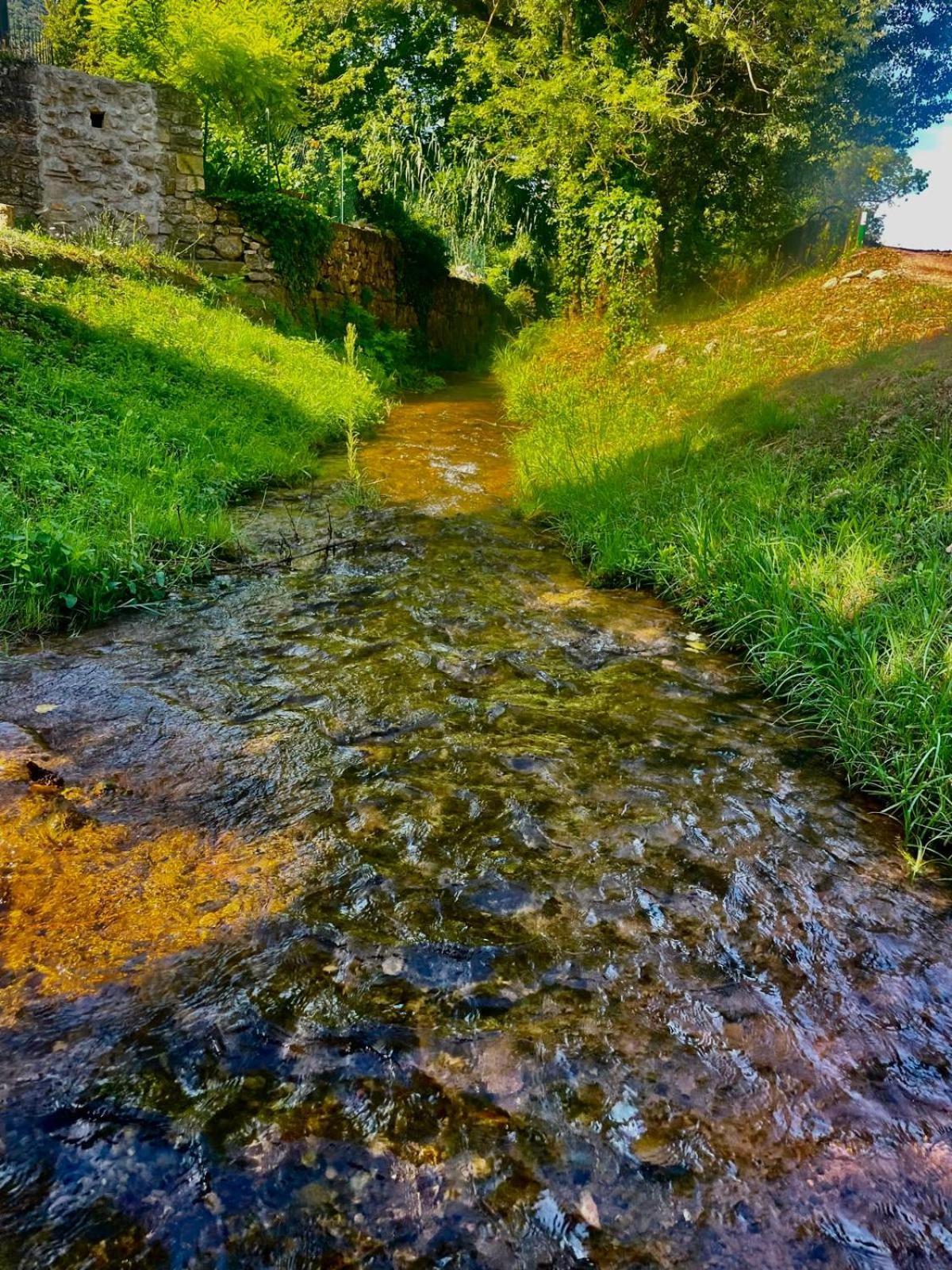 Отель Moulin Gaillard Бедарье Экстерьер фото